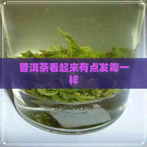 普洱茶看起来有点发霉一样