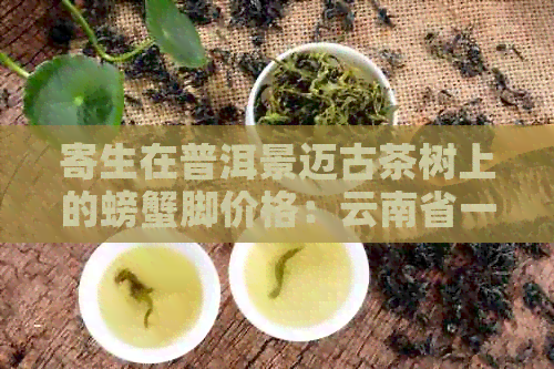 寄生在普洱景迈古茶树上的螃蟹脚价格：云南省一斤多少钱？