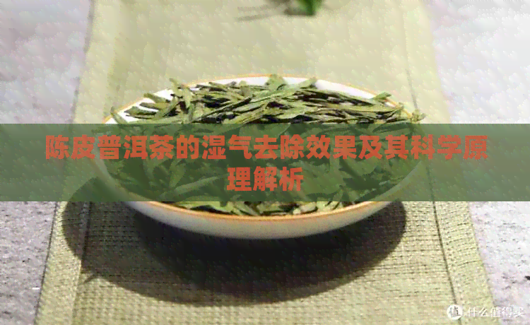 陈皮普洱茶的湿气去除效果及其科学原理解析