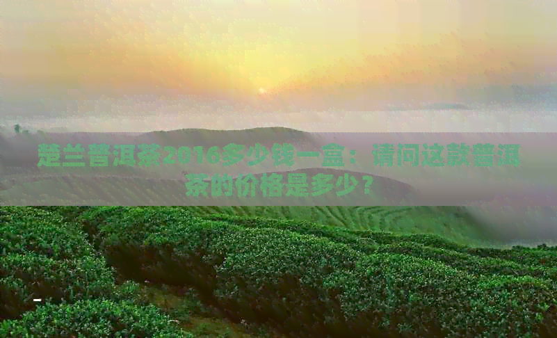 楚兰普洱茶2016多少钱一盒：请问这款普洱茶的价格是多少？