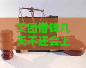 美团借钱几天不还会上：记录与报告全解析