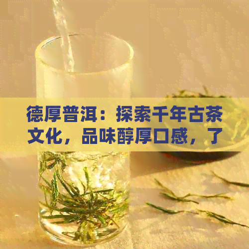 德厚普洱：探索千年古茶文化，品味醇厚口感，了解历与工艺