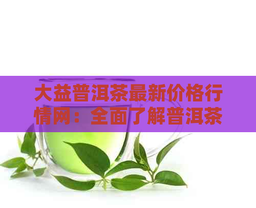 大益普洱茶最新价格行情网：全面了解普洱茶市场动态与价格走势