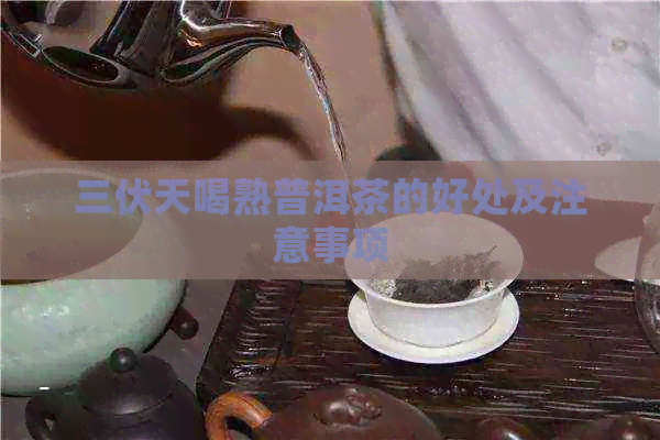 三伏天喝熟普洱茶的好处及注意事项