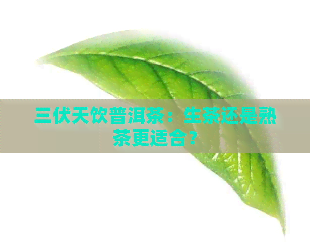 三伏天饮普洱茶：生茶还是熟茶更适合？