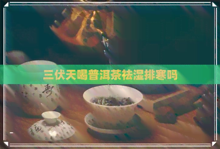 三伏天喝普洱茶祛湿排寒吗