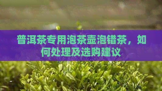 普洱茶专用泡茶壶泡错茶，如何处理及选购建议