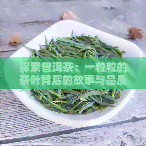 探索普洱茶：一粒粒的茶叶背后的故事与品质