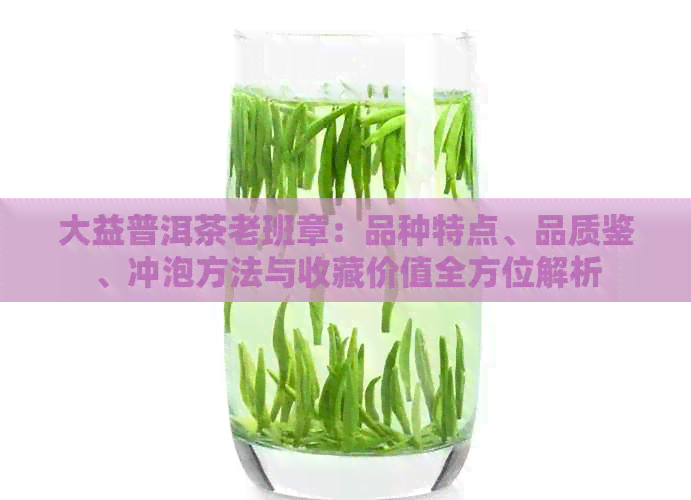 大益普洱茶老班章：品种特点、品质鉴、冲泡方法与收藏价值全方位解析