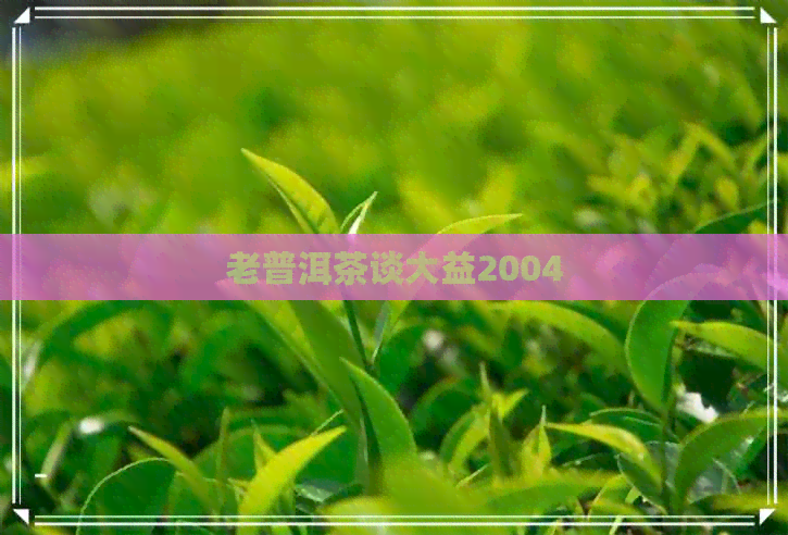 老普洱茶谈大益2004