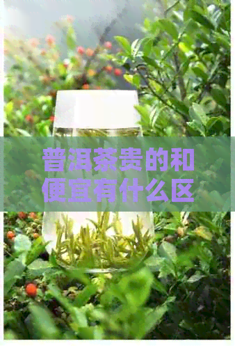 普洱茶贵的和便宜有什么区别？功效一样吗？价格差异在哪？