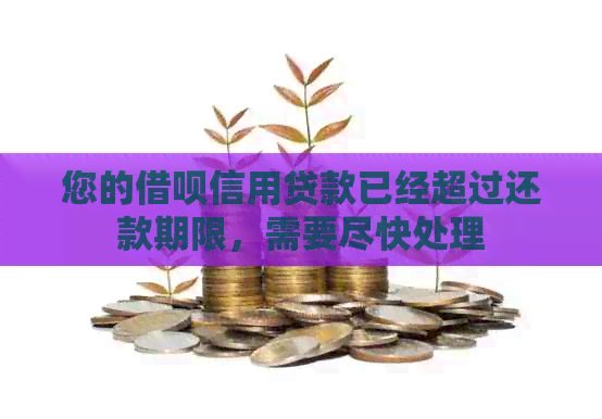 您的借呗信用贷款已经超过还款期限，需要尽快处理