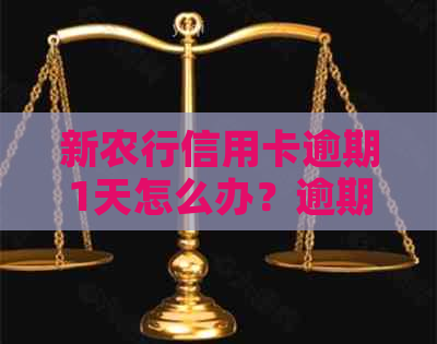 新农行信用卡逾期1天怎么办？逾期后果、解决方法和补救措全解析