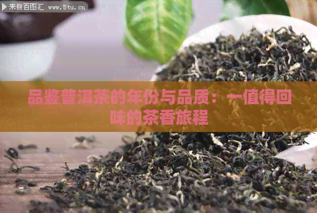 品鉴普洱茶的年份与品质：一值得回味的茶香旅程