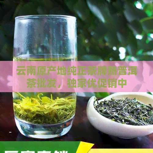 云南原产地纯正茶牌熟普洱茶批发，独家优促销中