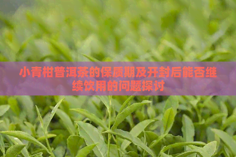 小青柑普洱茶的保质期及开封后能否继续饮用的问题探讨