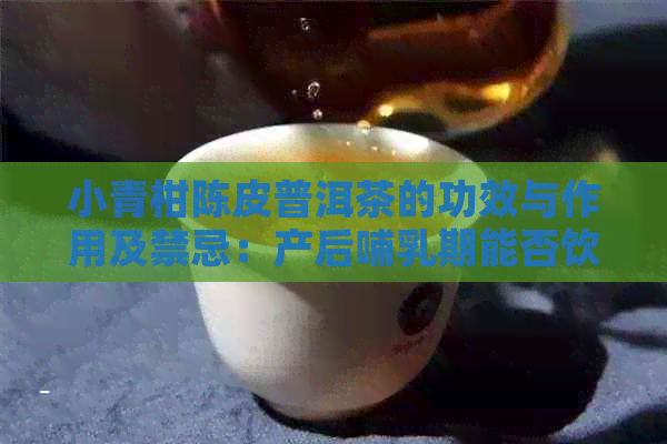 小青柑陈皮普洱茶的功效与作用及禁忌：产后哺乳期能否饮用？