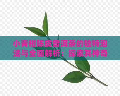 小青柑陈皮普洱茶的独特泡法与全面解析：探索其神奇功效及正确冲泡方法