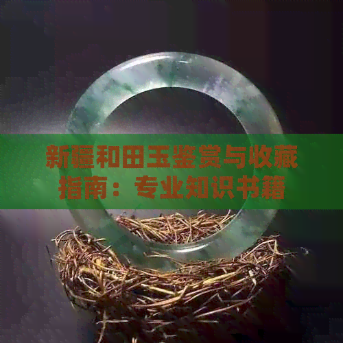 新疆和田玉鉴赏与收藏指南：专业知识书籍