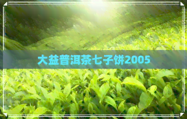 大益普洱茶七子饼2005