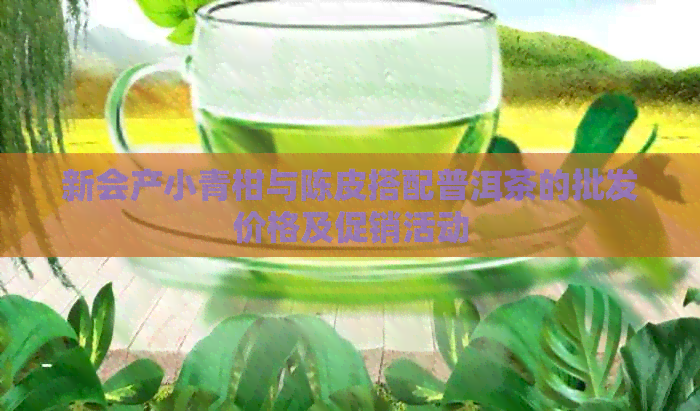 新会产小青柑与陈皮搭配普洱茶的批发价格及促销活动