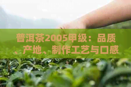 普洱茶2005甲级：品质、产地、制作工艺与口感全方位解析