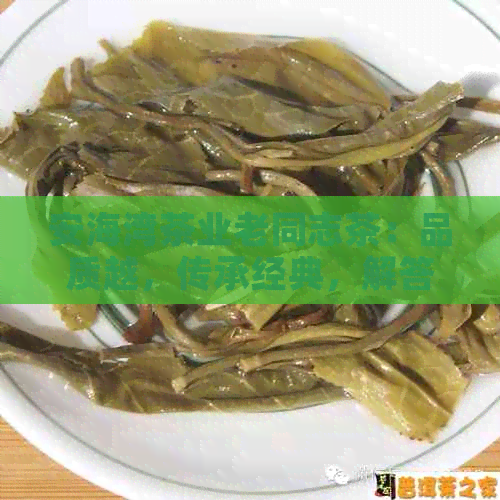 安海湾茶业老同志茶：品质越，传承经典，解答您关于茶叶的所有疑问