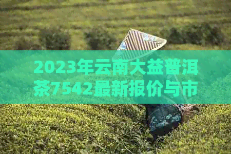 2023年云南大益普洱茶7542最新报价与市场行情分析