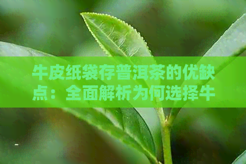 牛皮纸袋存普洱茶的优缺点：全面解析为何选择牛皮纸袋进行普洱茶存放