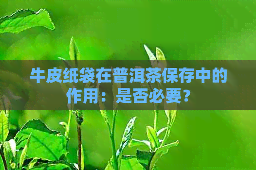 牛皮纸袋在普洱茶保存中的作用：是否必要？