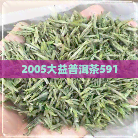 2005大益普洱茶591