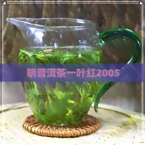 明普洱茶一叶红2005