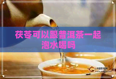 茯苓可以跟普洱茶一起泡水喝吗