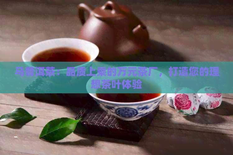 马普洱茶：品质上乘的万元茶厂，打造您的理想茶叶体验