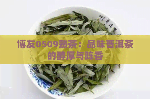 博友0509熟茶：品味普洱茶的醇厚与陈香