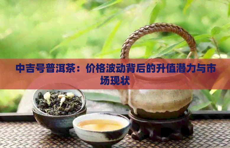 中吉号普洱茶：价格波动背后的升值潜力与市场现状