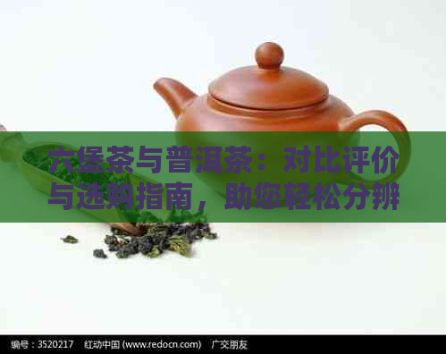 六堡茶与普洱茶：对比评价与选购指南，助您轻松分辨二者优劣