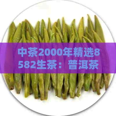 中茶2000年精选8582生茶：普洱茶中的珍品，年中限时优