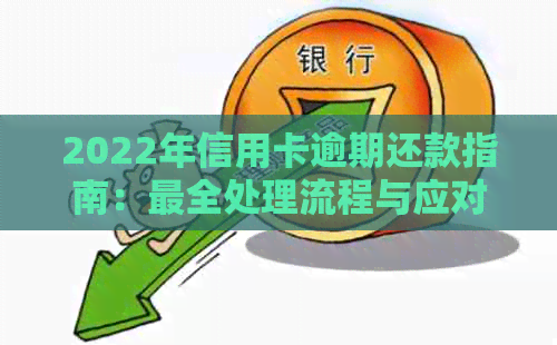 2022年信用卡逾期还款指南：最全处理流程与应对策略