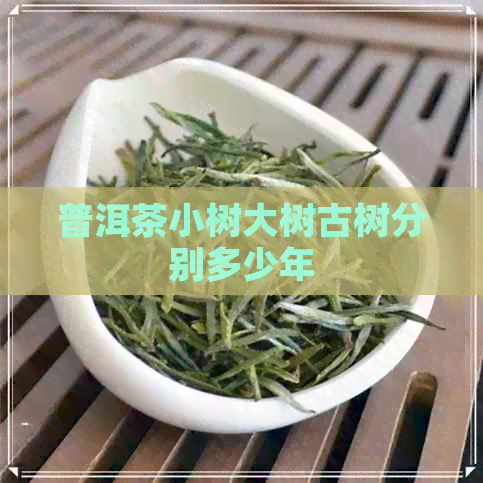 普洱茶小树大树古树分别多少年