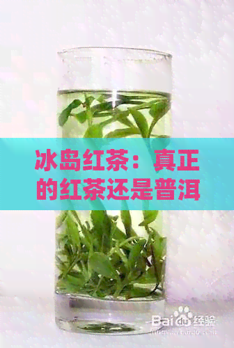 冰岛红茶：真正的红茶还是普洱茶？解答你对这种茶叶的所有疑问