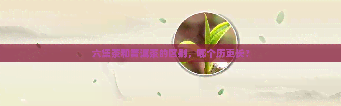 六堡茶和普洱茶的区别，哪个历更长？