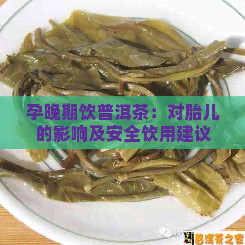 孕晚期饮普洱茶：对胎儿的影响及安全饮用建议