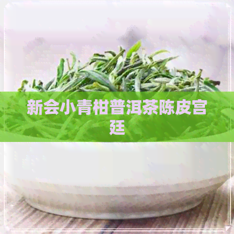 新会小青柑普洱茶陈皮宫廷