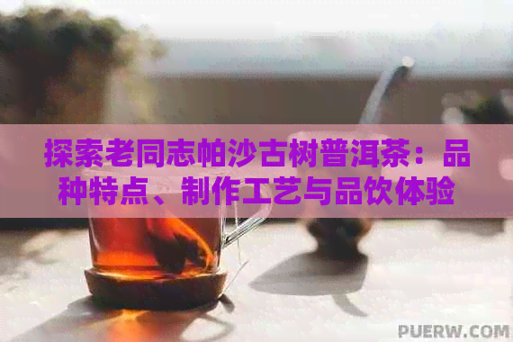 探索老同志帕沙古树普洱茶：品种特点、制作工艺与品饮体验详解