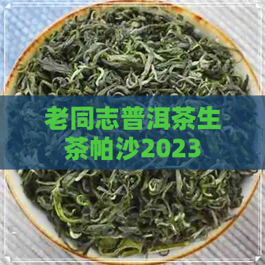 老同志普洱茶生茶帕沙2023