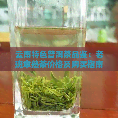 云南特色普洱茶品鉴：老班章熟茶价格及购买指南