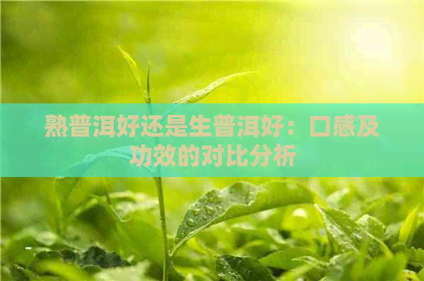 熟普洱好还是生普洱好：口感及功效的对比分析