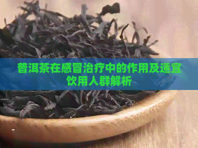 普洱茶在感冒治疗中的作用及适宜饮用人群解析