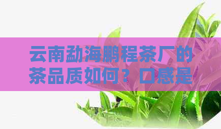 云南勐海鹏程茶厂的茶品质如何？口感是否好喝？